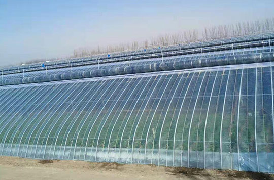 沈陽蔬菜大棚保溫被使用中應(yīng)注意的問題